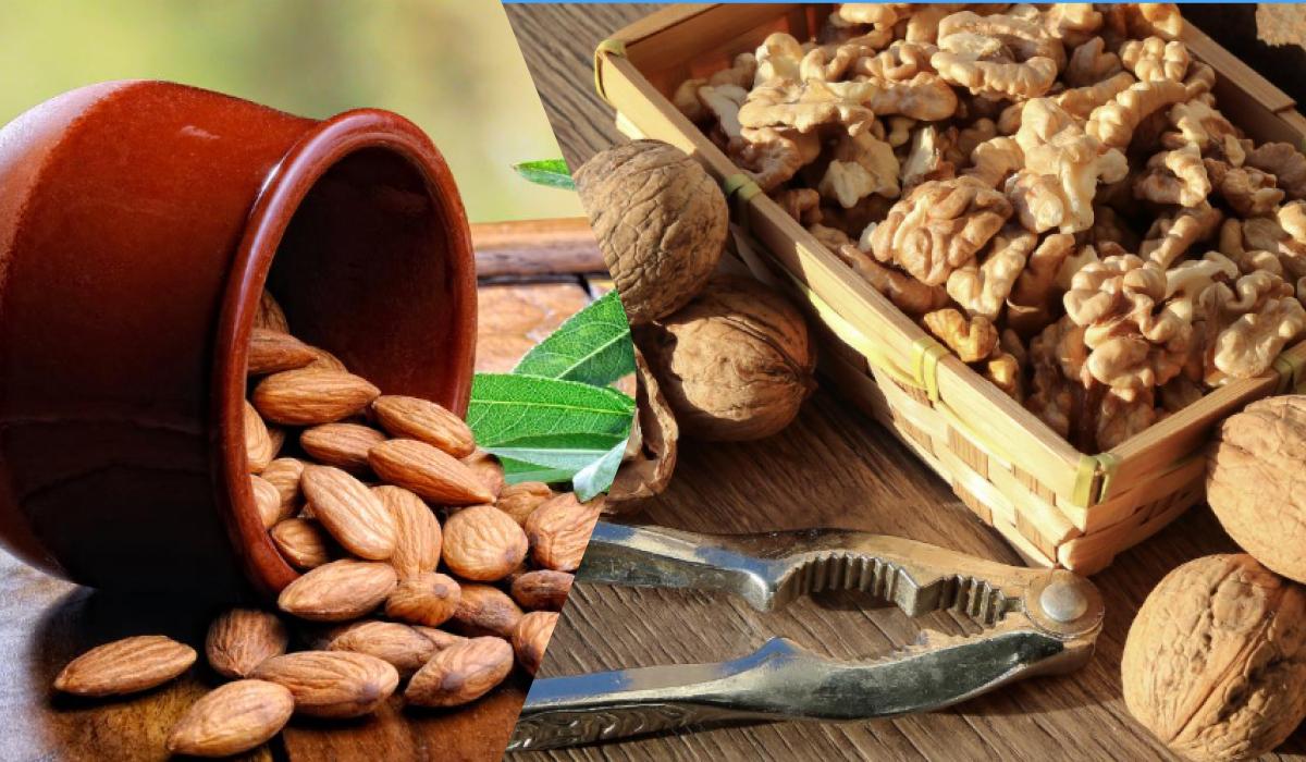 Волоські горіхи проти мигдалю: які корисніші для здоров'я мозку