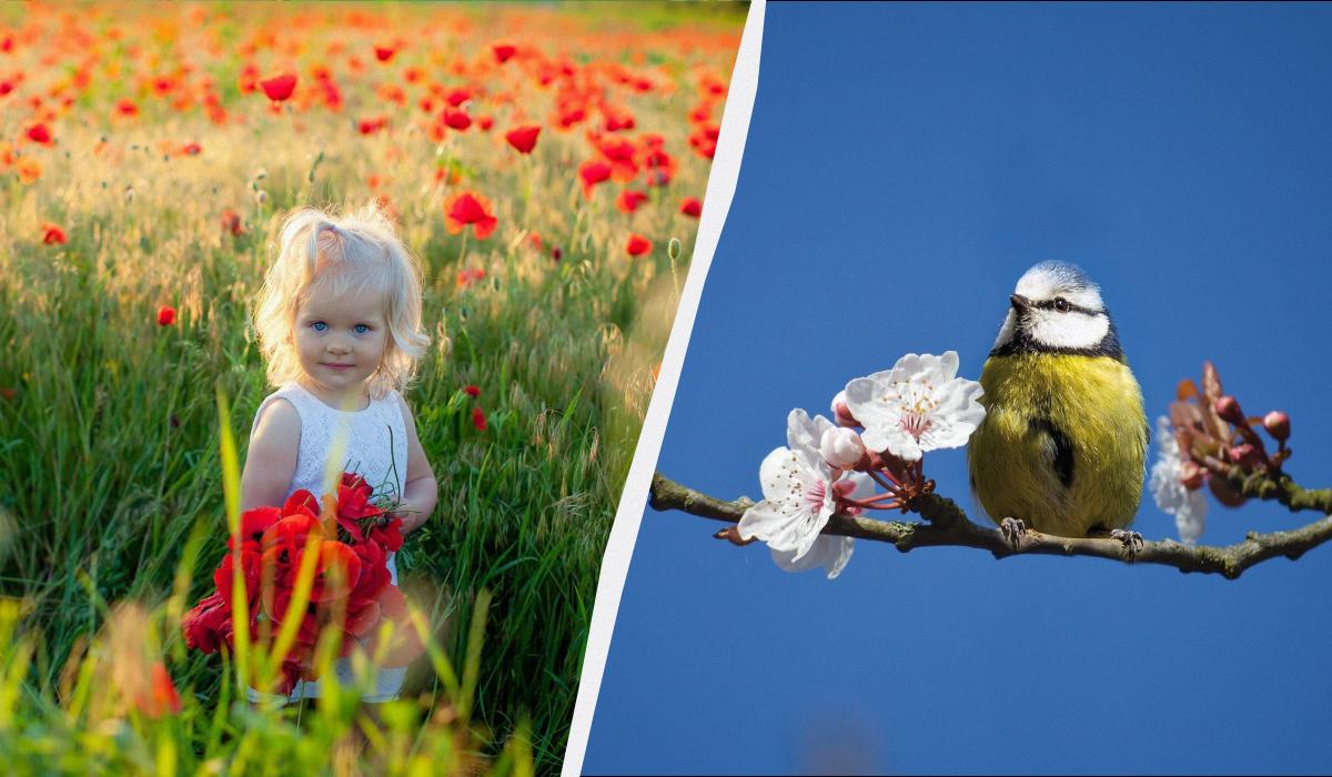 Обряд на здоров’я у свято 4 квітня: що сьогодні потрібно випити зранку