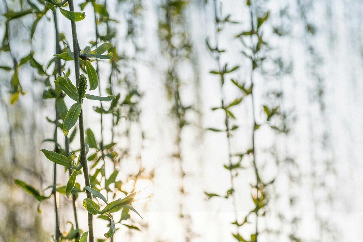 Приметы на сегодня