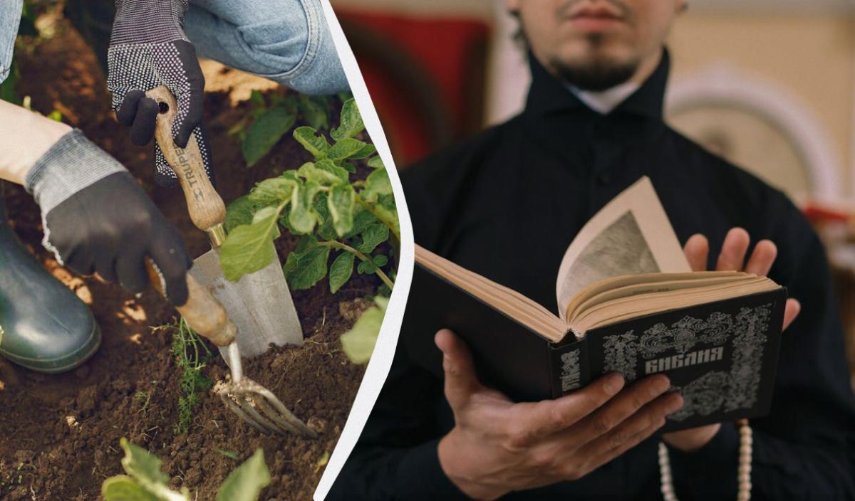 что нельзя делать в вербное воскресенье