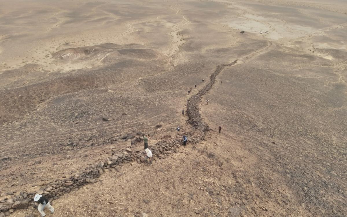 Вчені розкрили нові деталі про 4000-кілометрову стіну в Гобі: як вона працювала