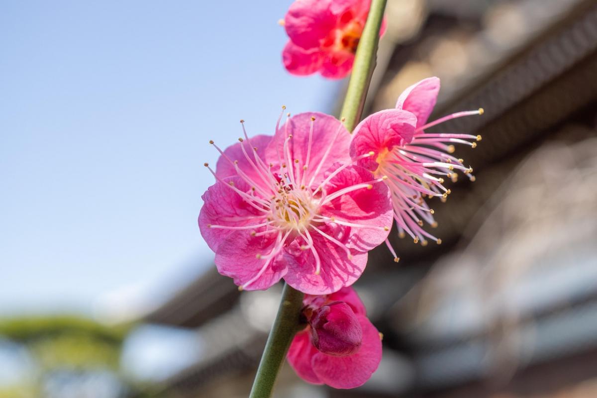 13 апреля погода в Украине начнет наконец улучшаться