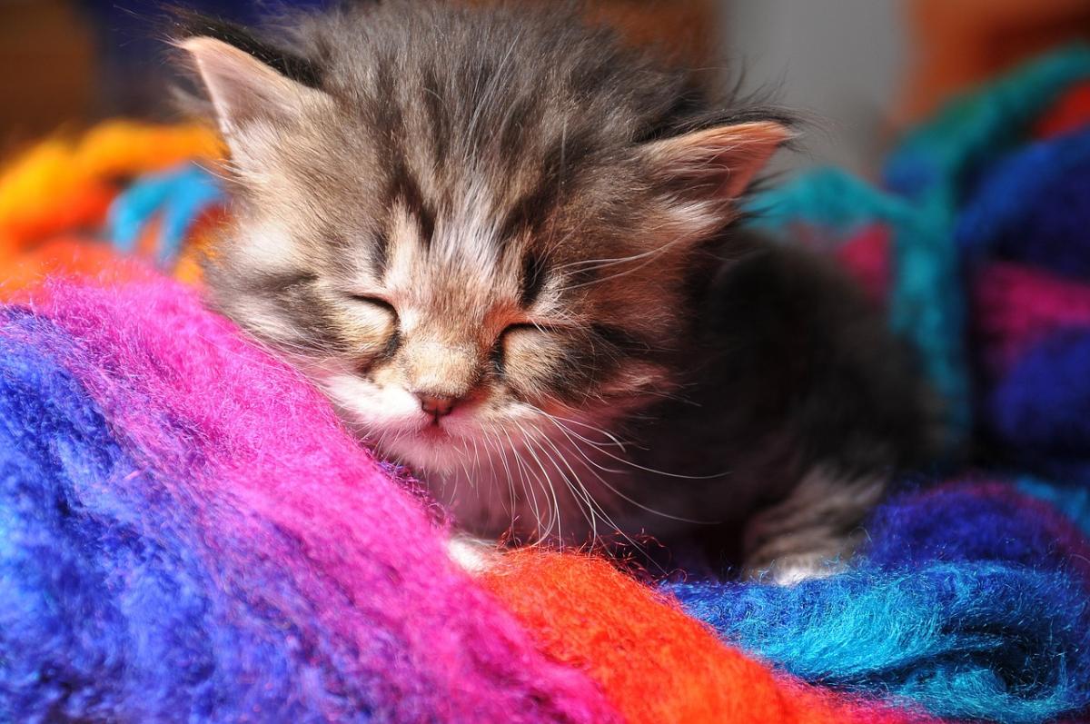 7 апреля в Украине резко похолодает: температура рухнет по всей стране