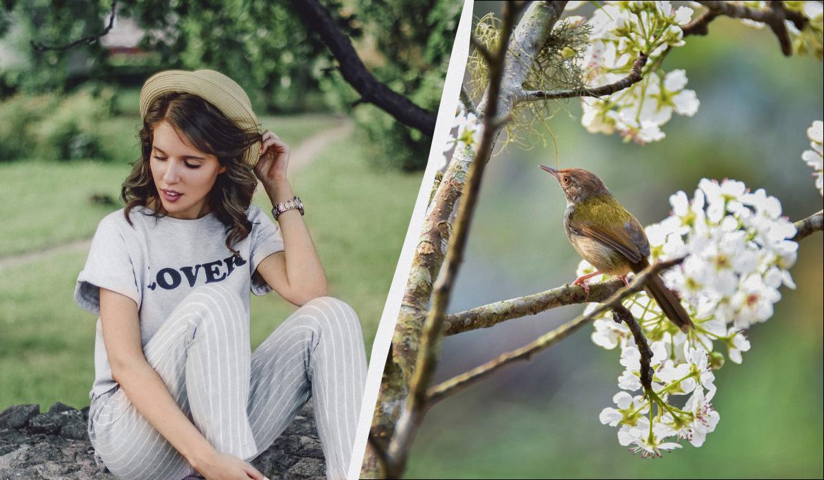 яке сьогодні свято