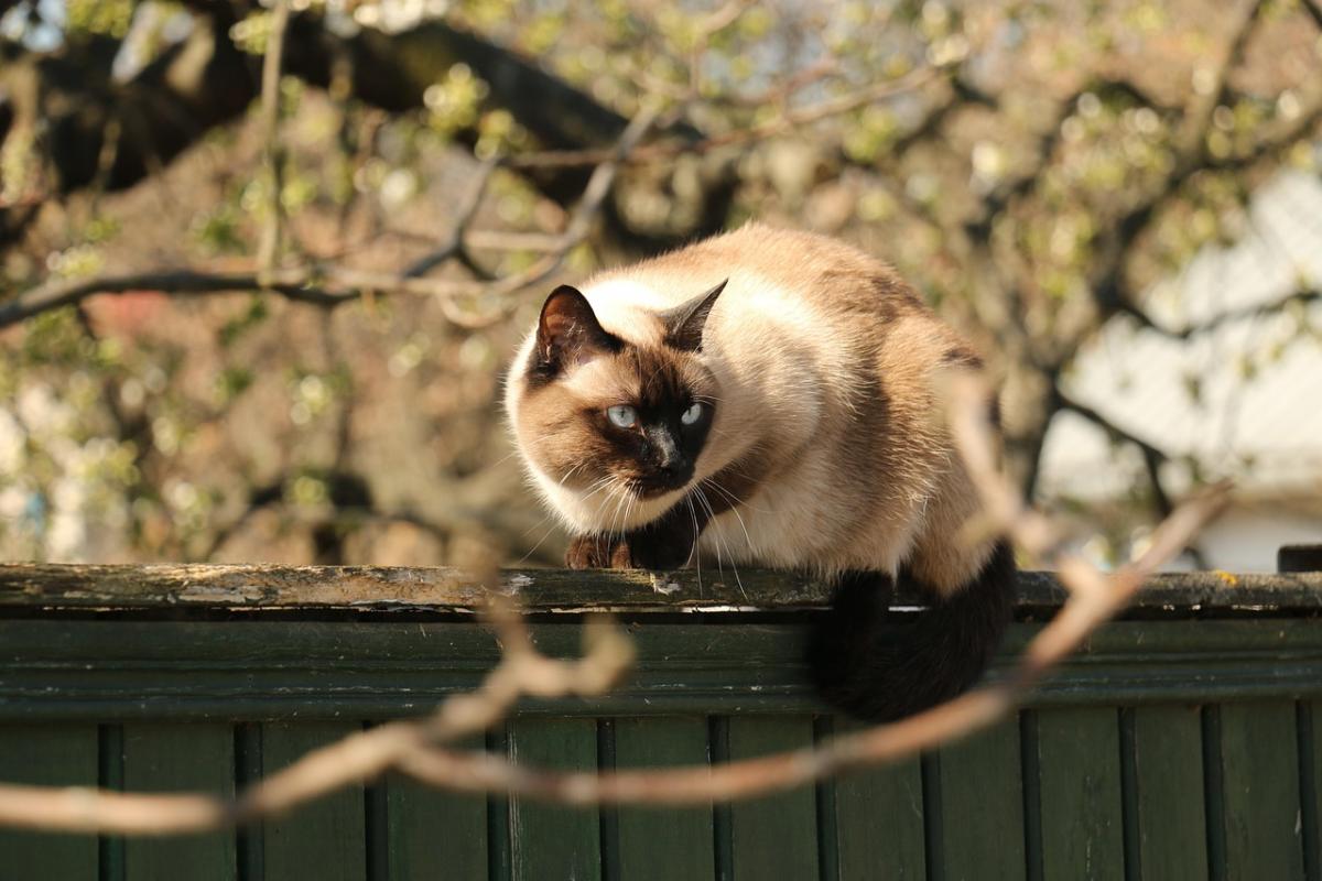 Напередодні вихідних погода в Україні нарешті почне покращуватися