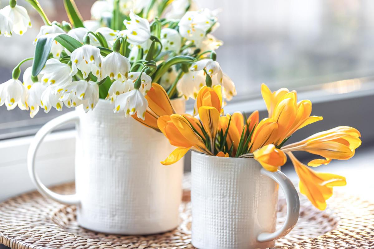 яке сьогодні свято