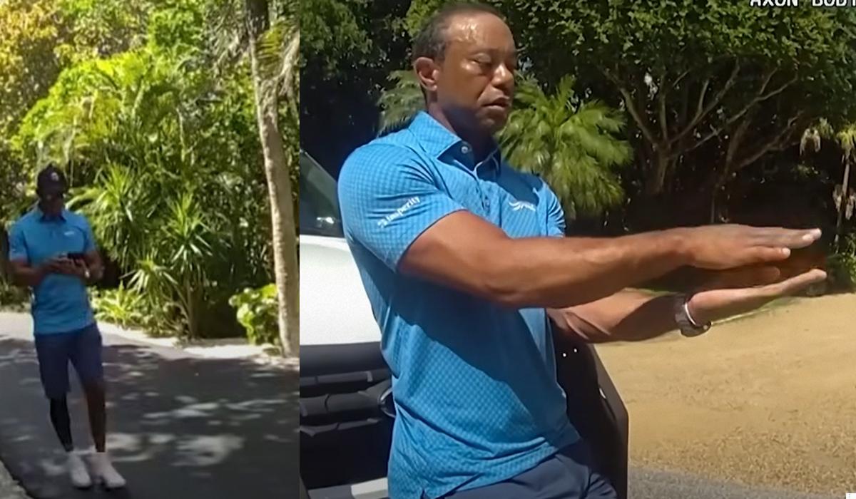 Тайгер Вудс мог звонить Трампу во время ареста: в чем обвиняют легенду гольфа