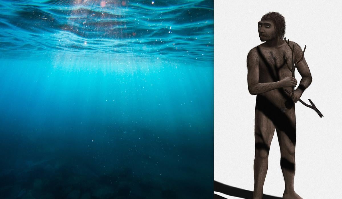 Стародавній підводний світ відкрив науковцям нові подробиці про предків сучасних людей Стародавній підводний світ відкрив науковцям нові подробиці про предків сучасних людей