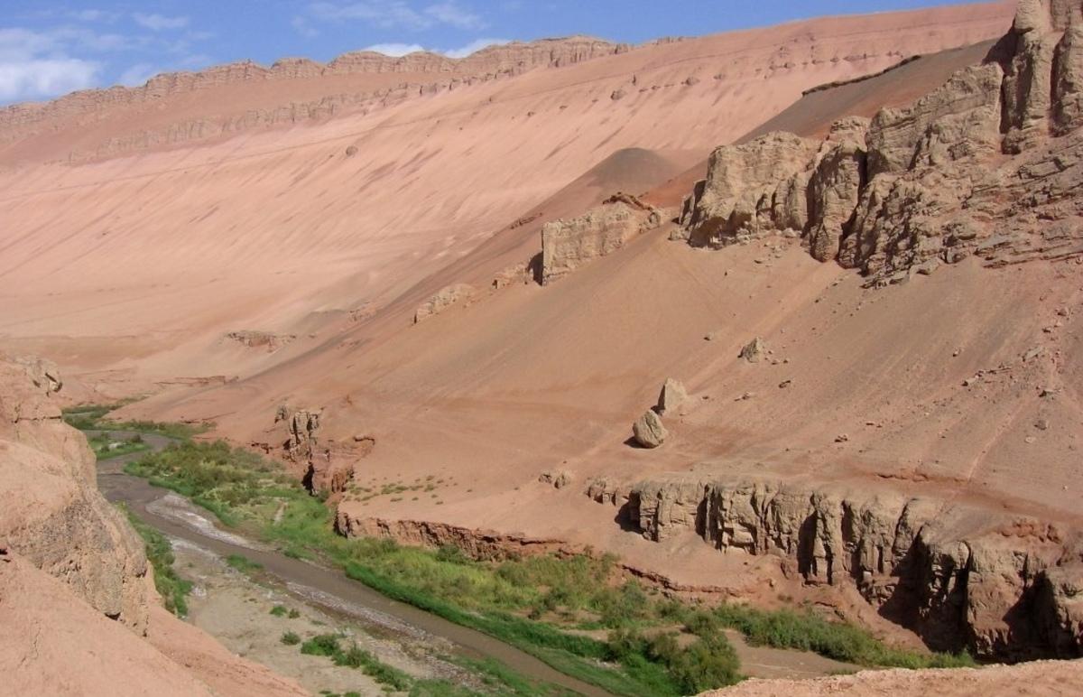 Китай висадив 66 млрд дерев у пустелі розміром із Польщу: що змінилося