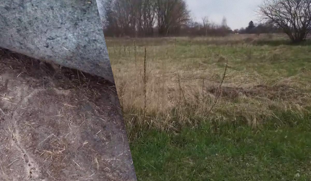 як позбутися пирію