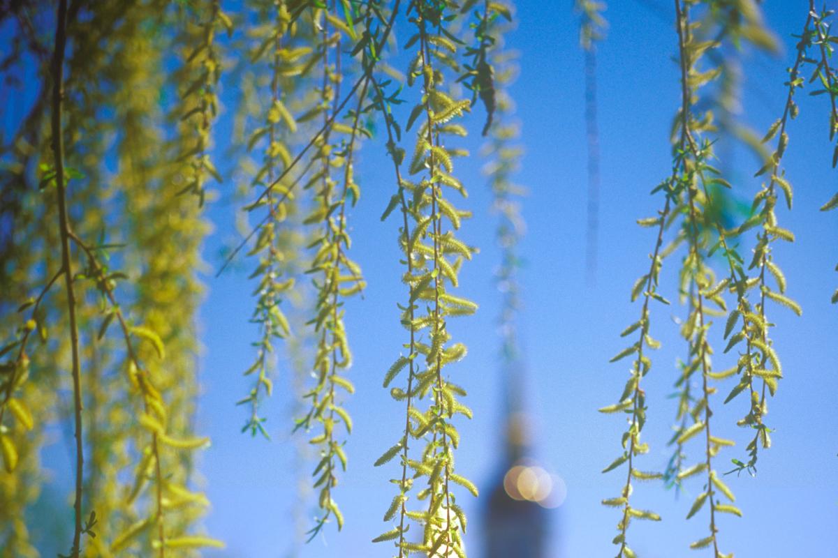 Прикмети на сьогодні