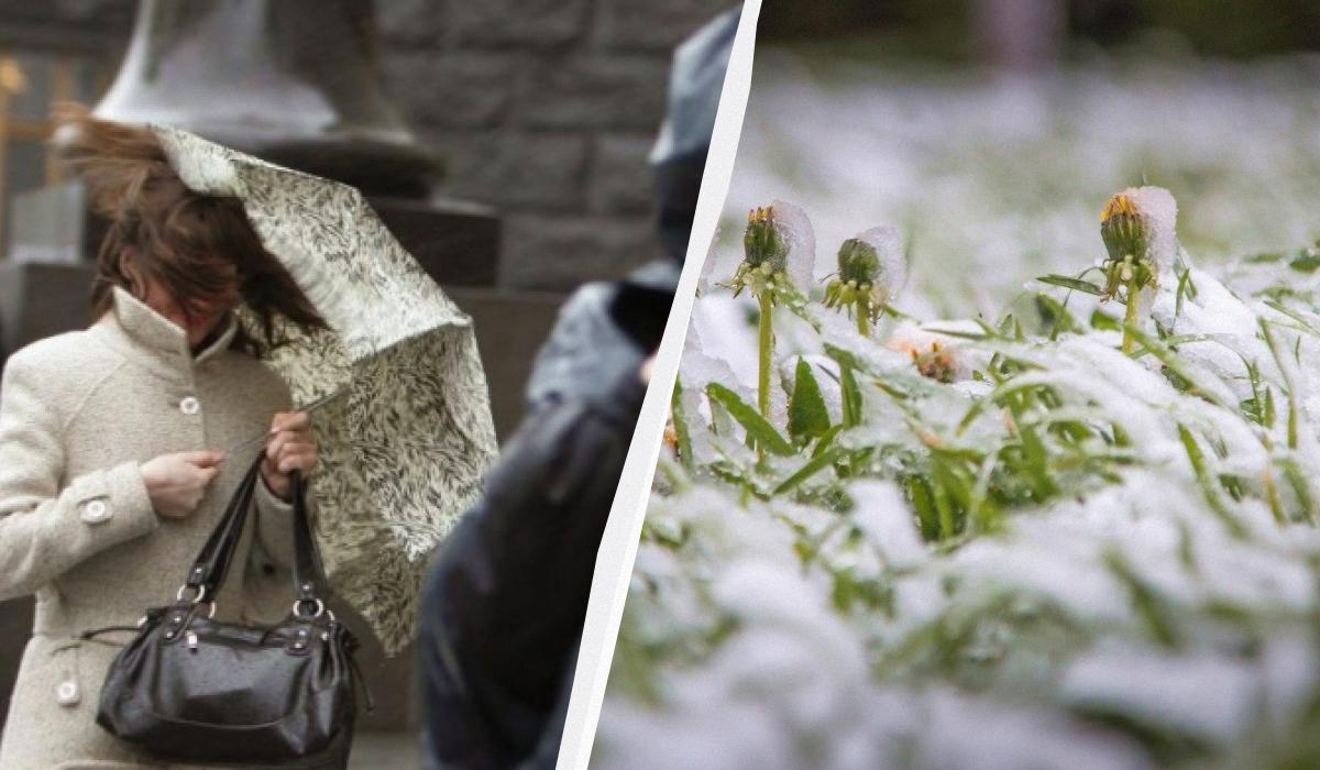 Холодний атмосферний фронт зіпсує погоду в Україні вже завтра, - синоптикиня Діденко