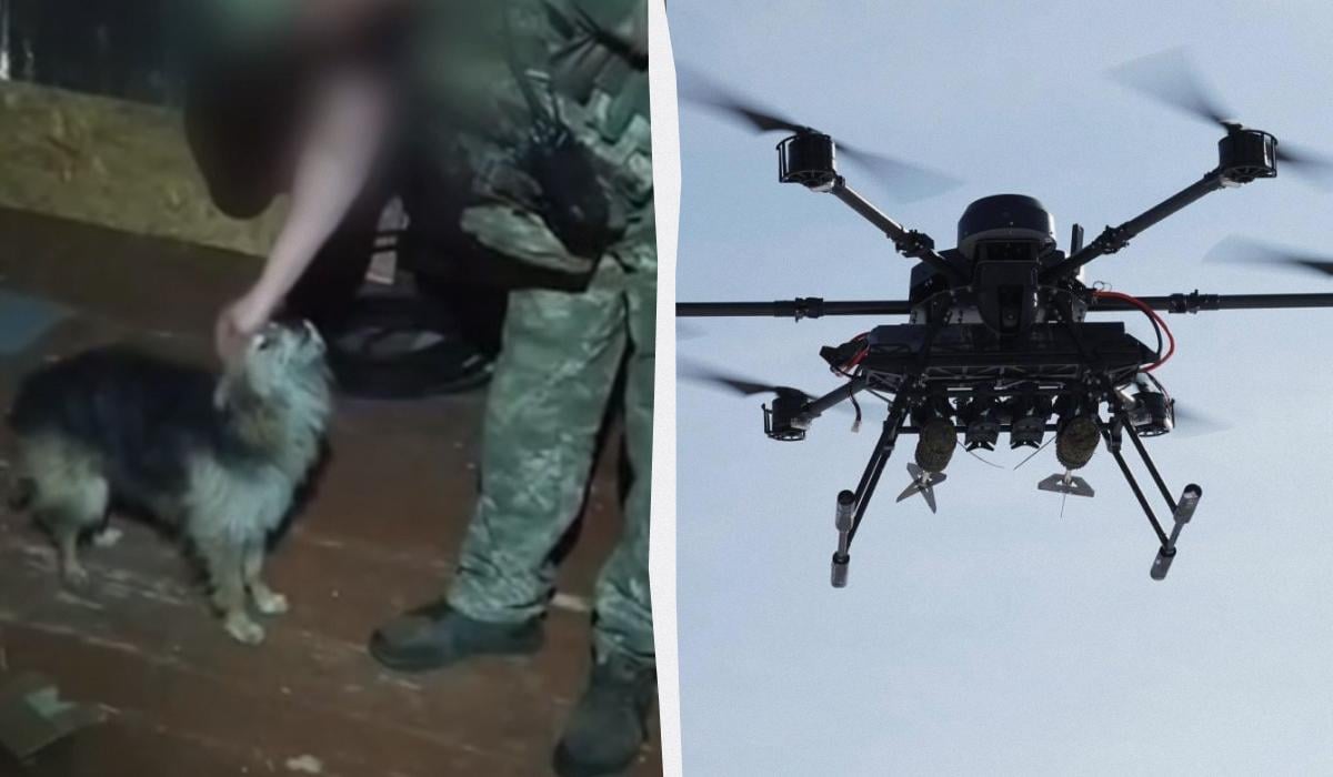 Успішно пролетіли 12 км: воїни ЗСУ дроном евакуювали з позиції кота та собаку (відео) Успішно пролетіли 12 км: воїни ЗСУ дроном евакуювали з позиції кота та собаку (відео)