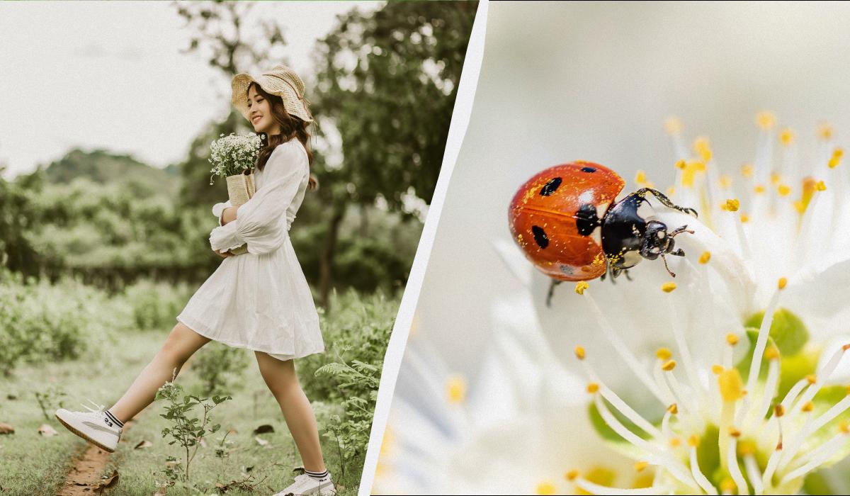 яке сьогодні свято