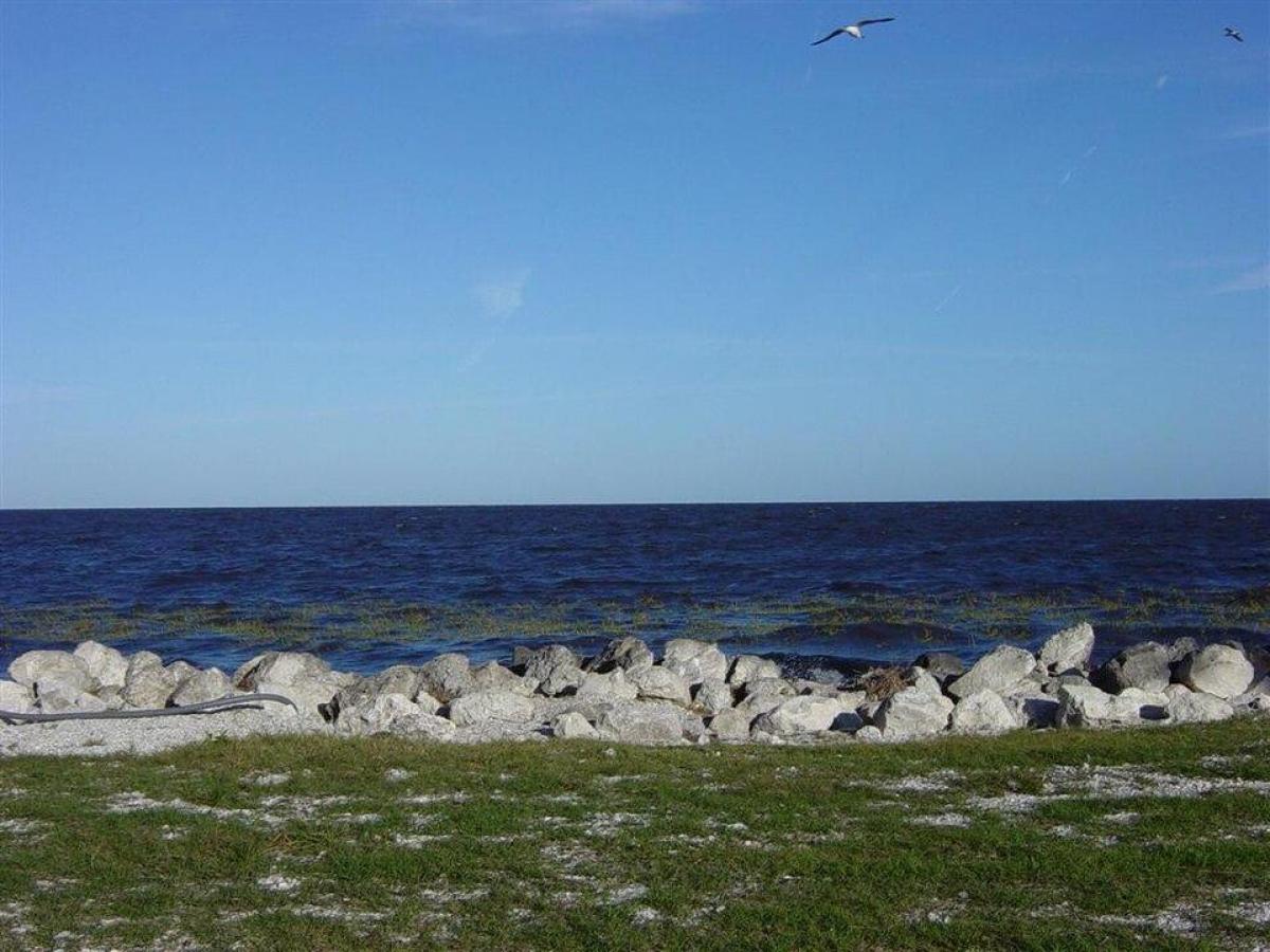 У ньому мешкає 30 тисяч алігаторів: яке одне з найнебезпечніших озер на планеті