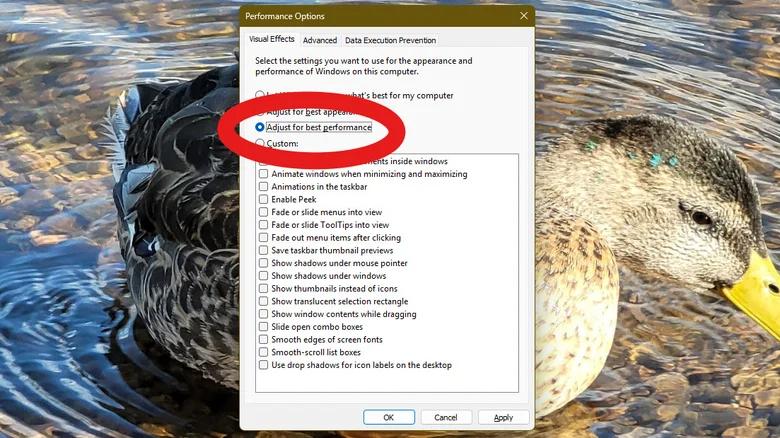 Windows 11 може працювати швидше: 5 функцій, які варто вимкнути прямо зараз