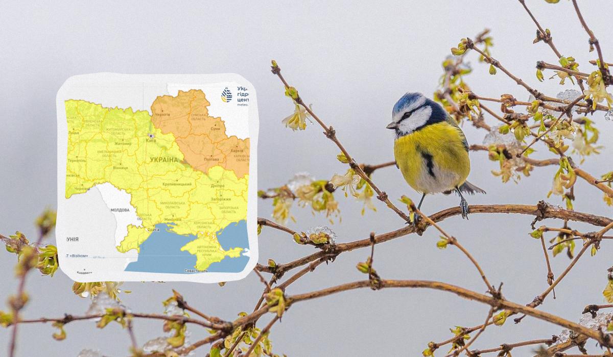 До -3° уже этой ночью: где в Украине ожидается самый сильный холод (карта)