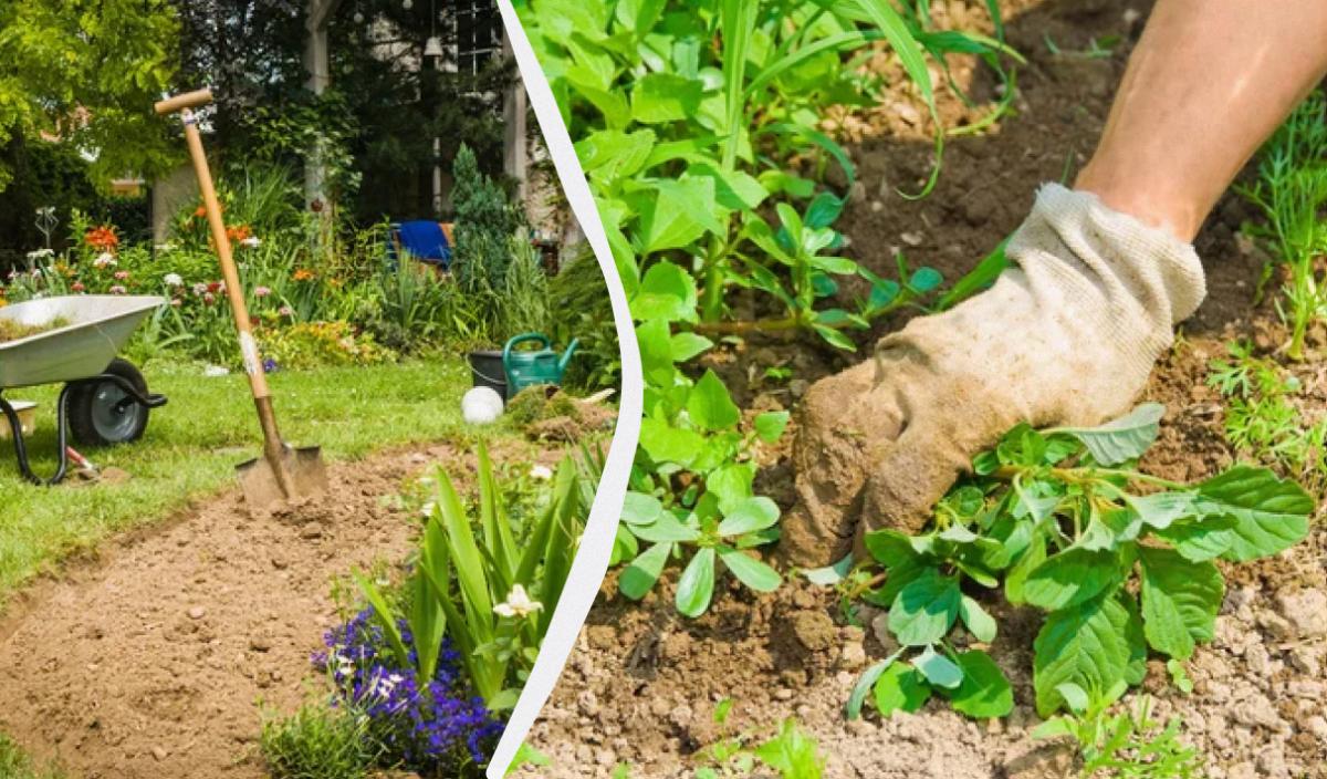 Как облегчить прополку огорода