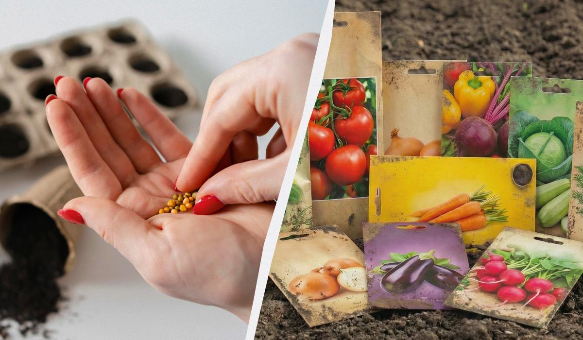 Як зрозуміти, хороше насіння чи ні Як зрозуміти, хороше насіння чи ні