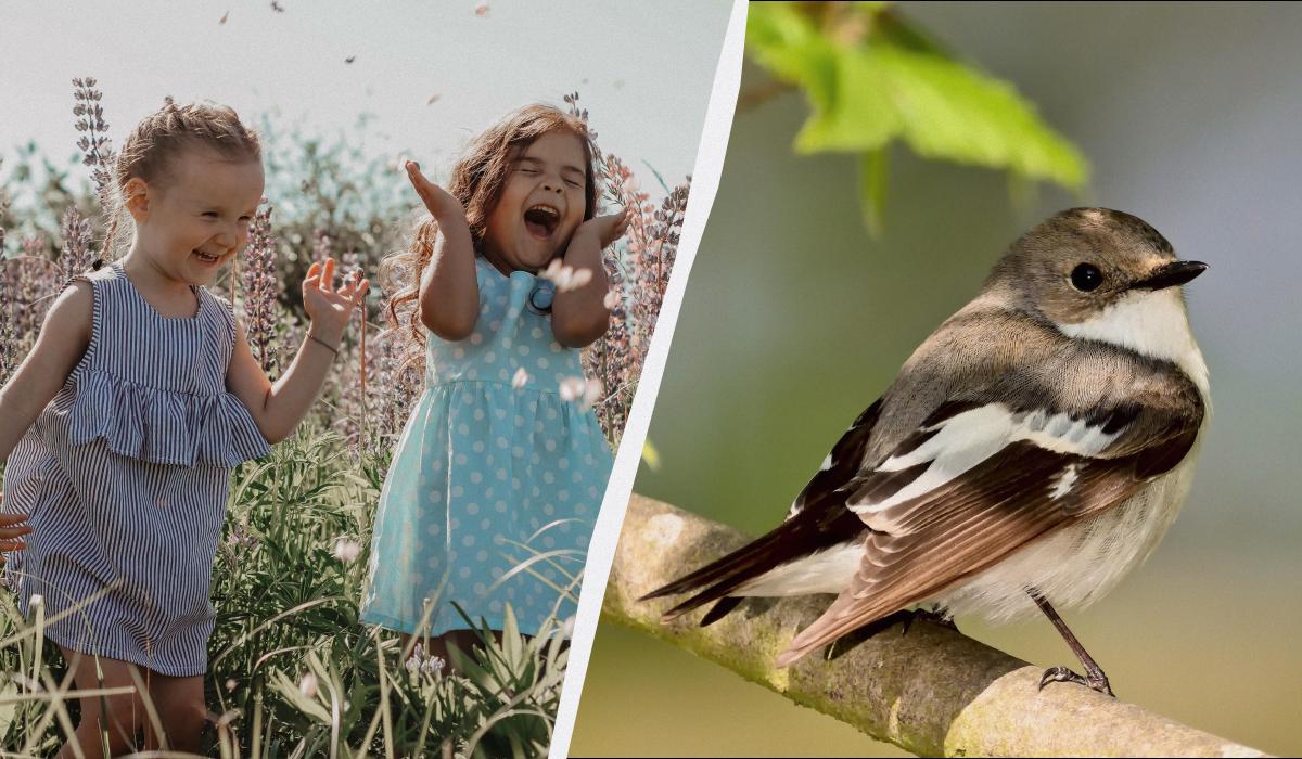 яке сьогодні свято