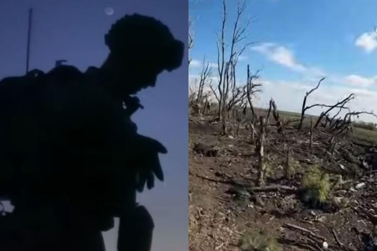 Українську стрічку 