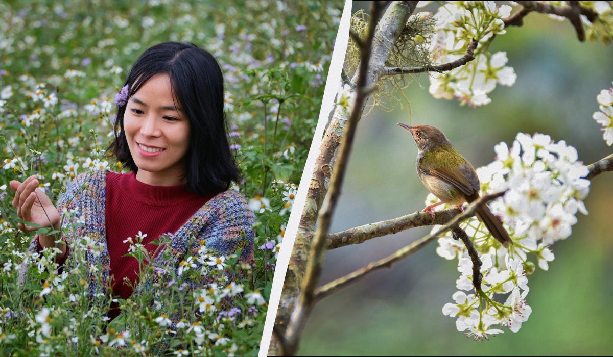 яке сьогодні свято