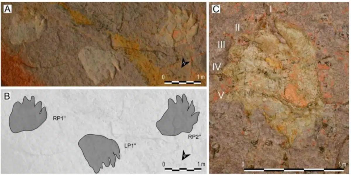 Унікальна знахідка на глибині 500 метрів: учені виявили сліди динозаврів на стелі печери Унікальна знахідка на глибині 500 метрів: учені виявили сліди динозаврів на стелі печери