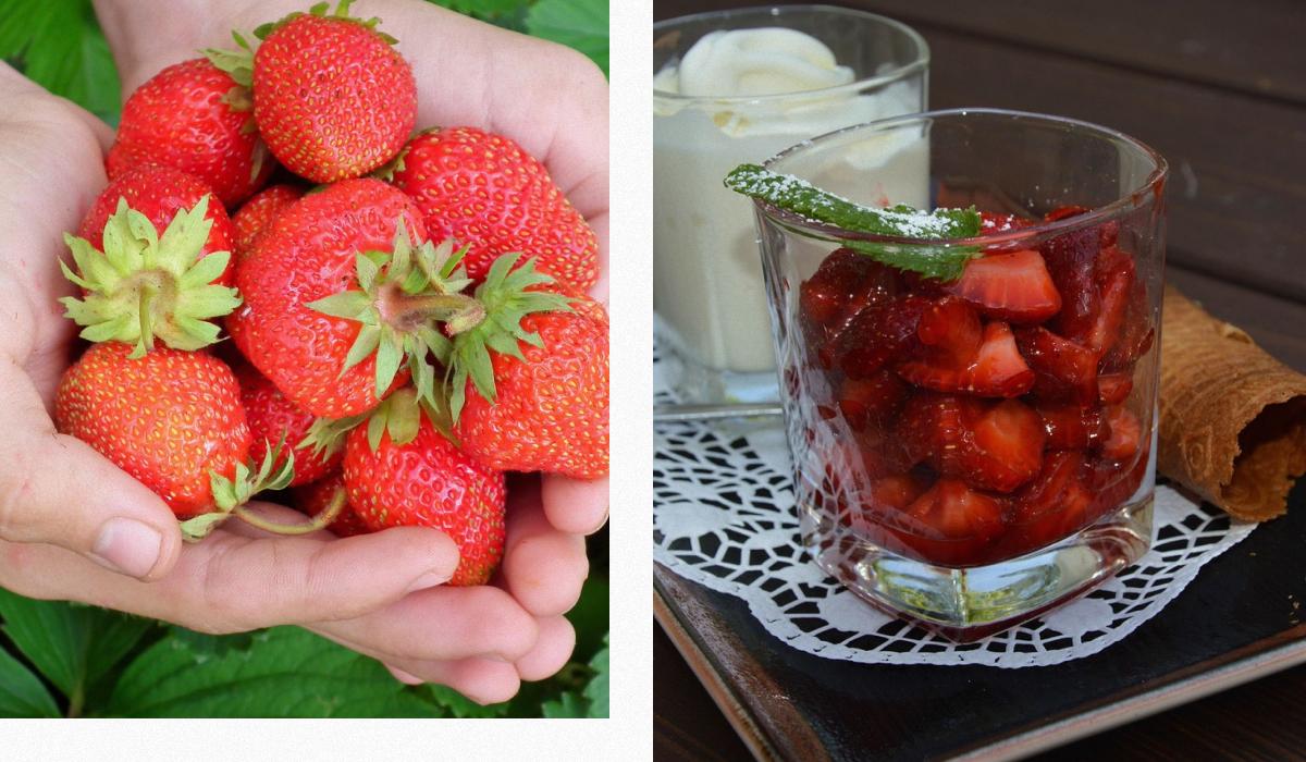 Що станеться з організмом, якщо щодня їсти полуницю: відповідь дієтологів