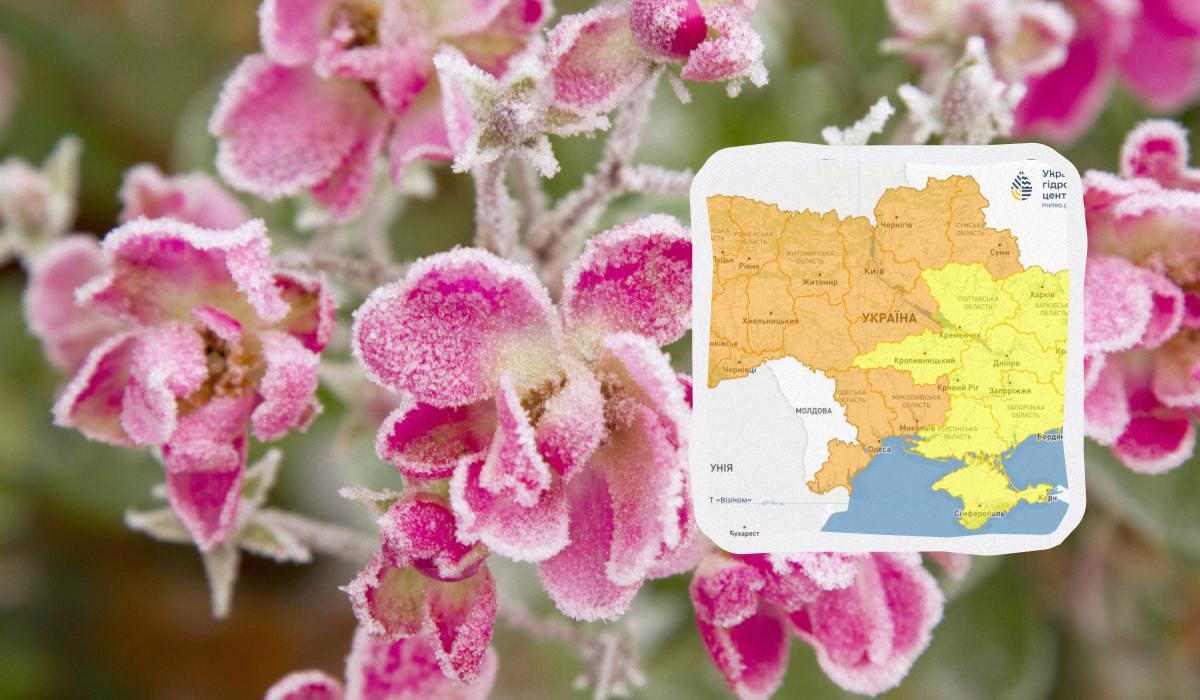 Заморозки атакують Україну ще не одну ніч: синоптики попереджають про небезпеку