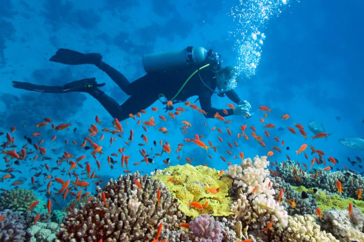 Підводні таємниці: 6 місць, куди дайвери з усього світу мріють потрапити у 2026 році Підводні таємниці: 6 місць, куди дайвери з усього світу мріють потрапити у 2026 році