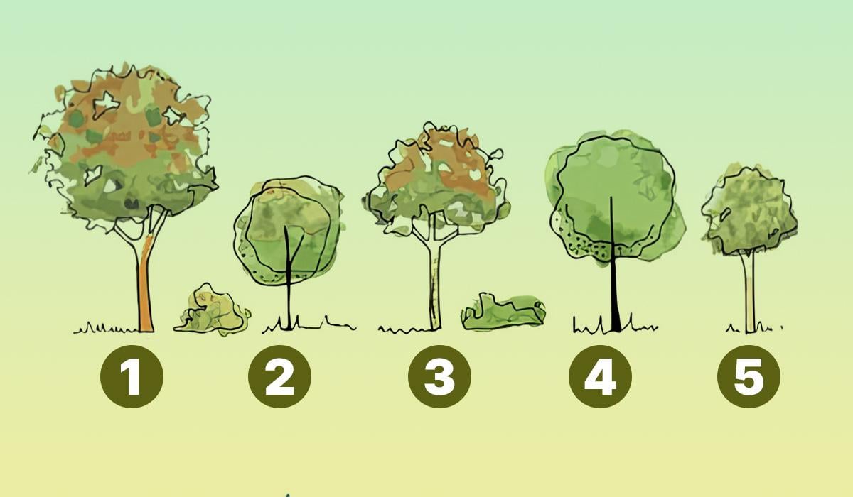 Швидкий тест на егоїзм: яке дерево ви посадите біля будинку - нарциси дають одну відповідь