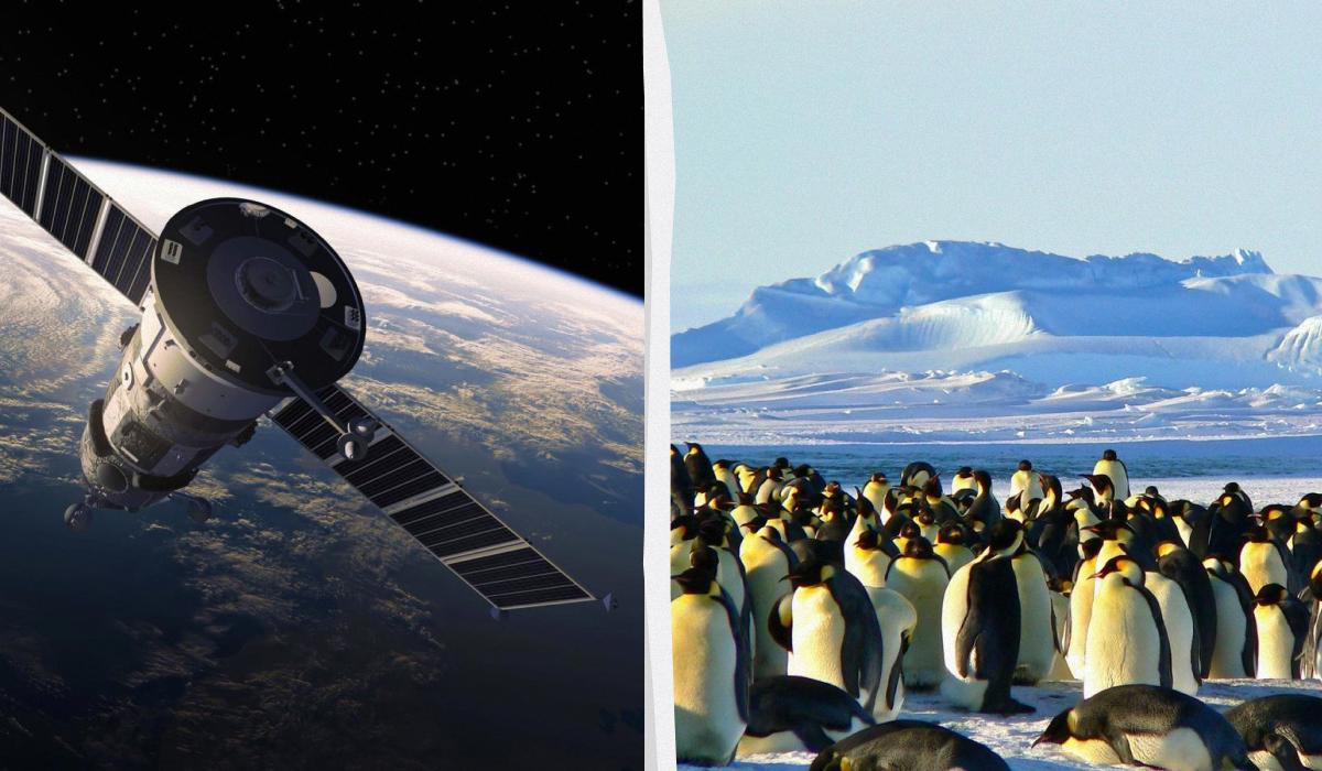 Сбежать от толп в космос или на полюса: названы самые эксклюзивные туры в мире Сбежать от толп в космос или на полюса: названы самые эксклюзивные туры в мире