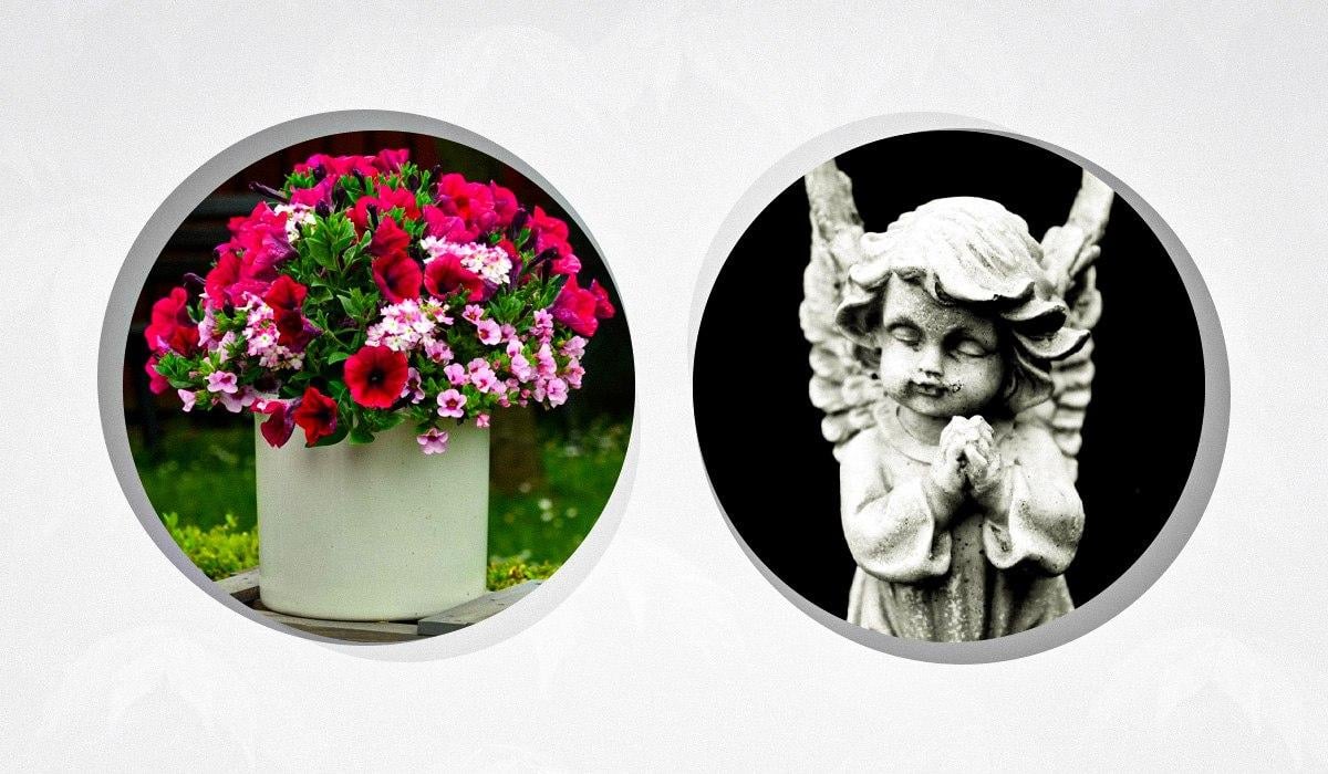 Чи можна садити квіти з дому на кладовищі Чи можна садити квіти з дому на кладовищі