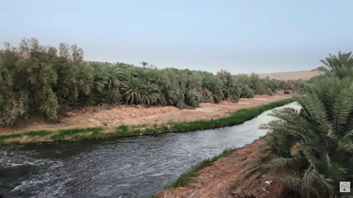 Саудівська Аравія створила в самому серці пустелі річку з квітучими берегами: як це вдалося Саудівська Аравія створила в самому серці пустелі річку з квітучими берегами: як це вдалося