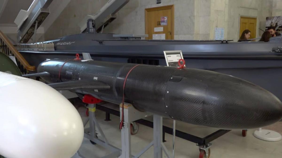 У Украины появилась новая ракета-дрон Areion