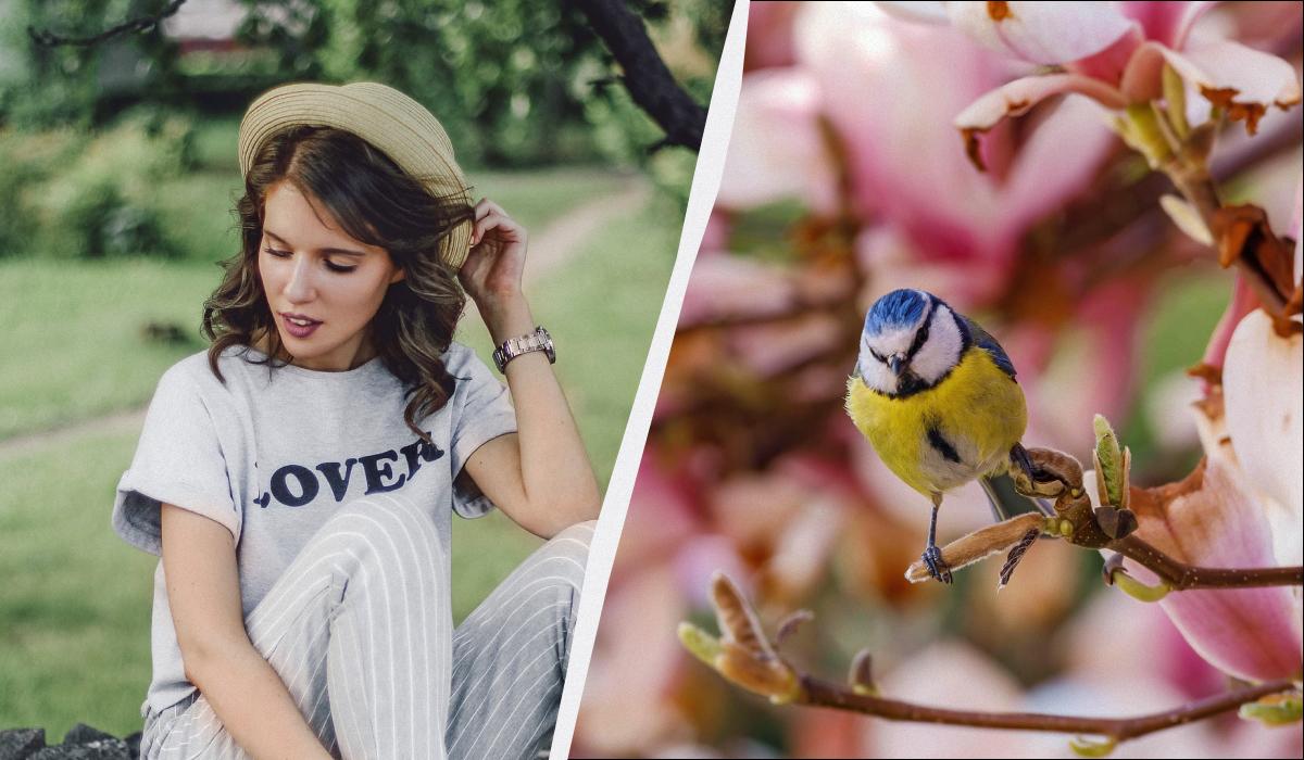 какой сегодня праздник какой сегодня праздник