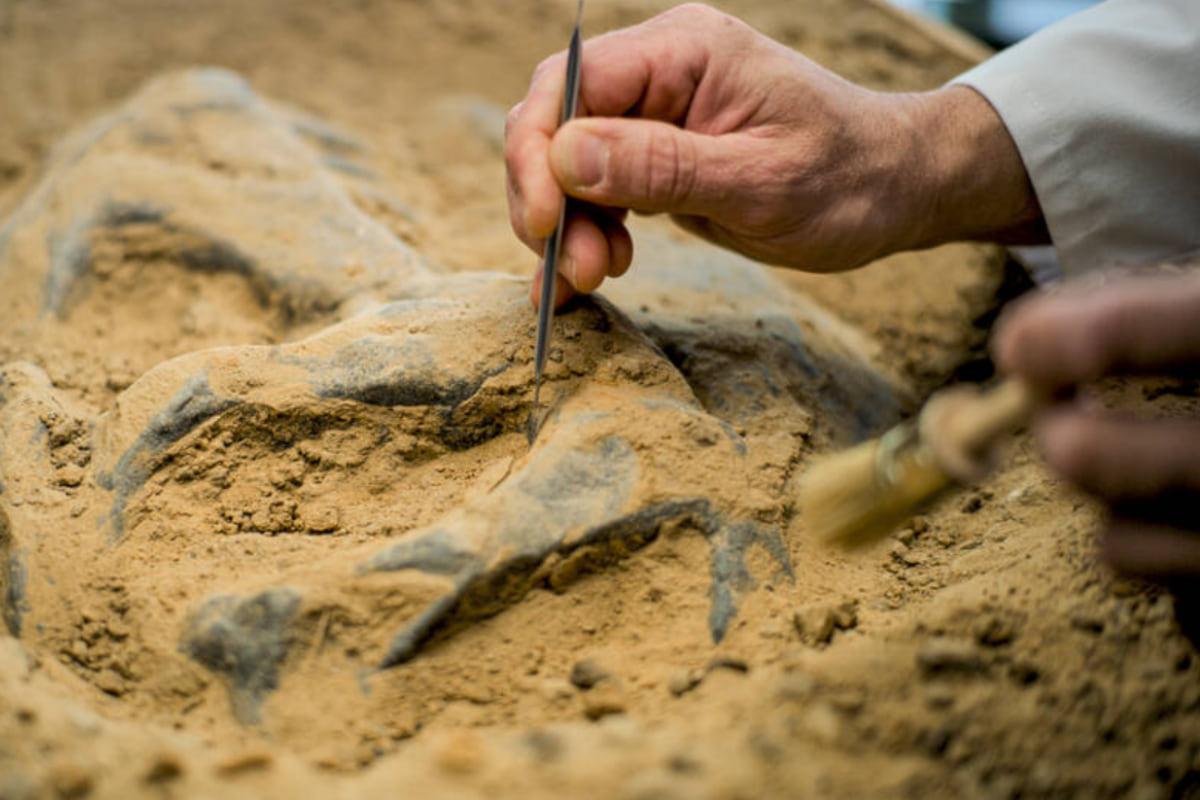 Ученые нашли скелеты возрастом 7 000 лет с ДНК неизвестного науке человеческого вида Ученые нашли скелеты возрастом 7 000 лет с ДНК неизвестного науке человеческого вида