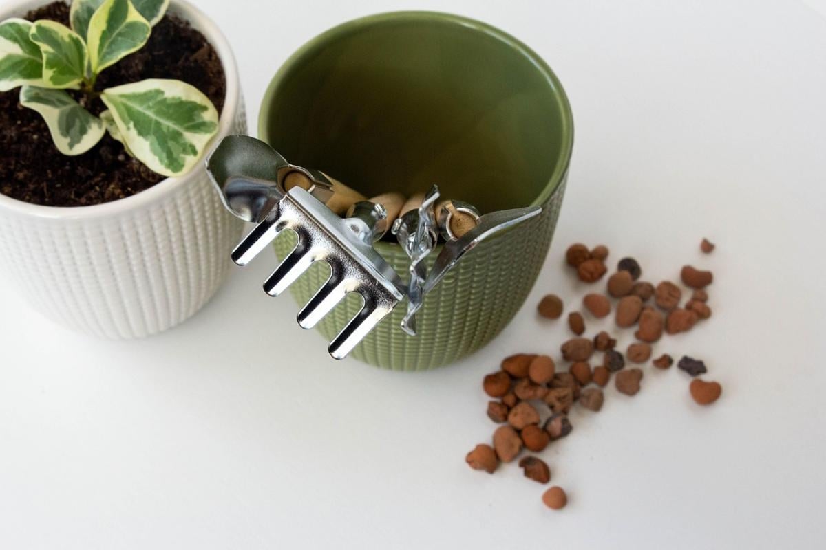 Эксперты развенчали популярный миф: камни на дне горшка могут погубить растения