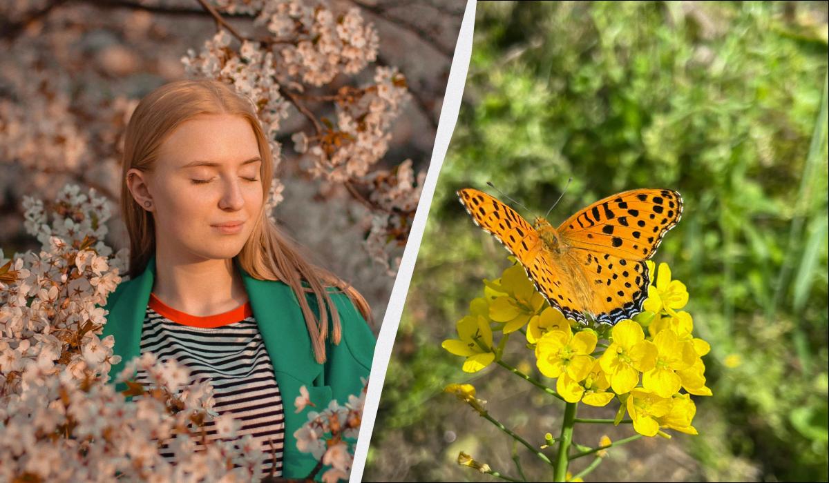 какой сегодня праздник какой сегодня праздник