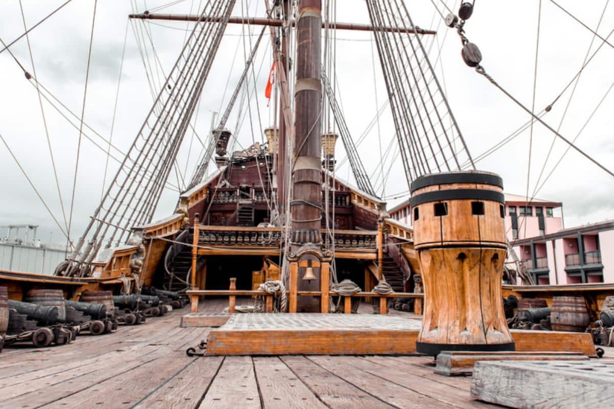 Крихітний молюск знищив цілий іспанський флот: ось як це було Крихітний молюск знищив цілий іспанський флот: ось як це було