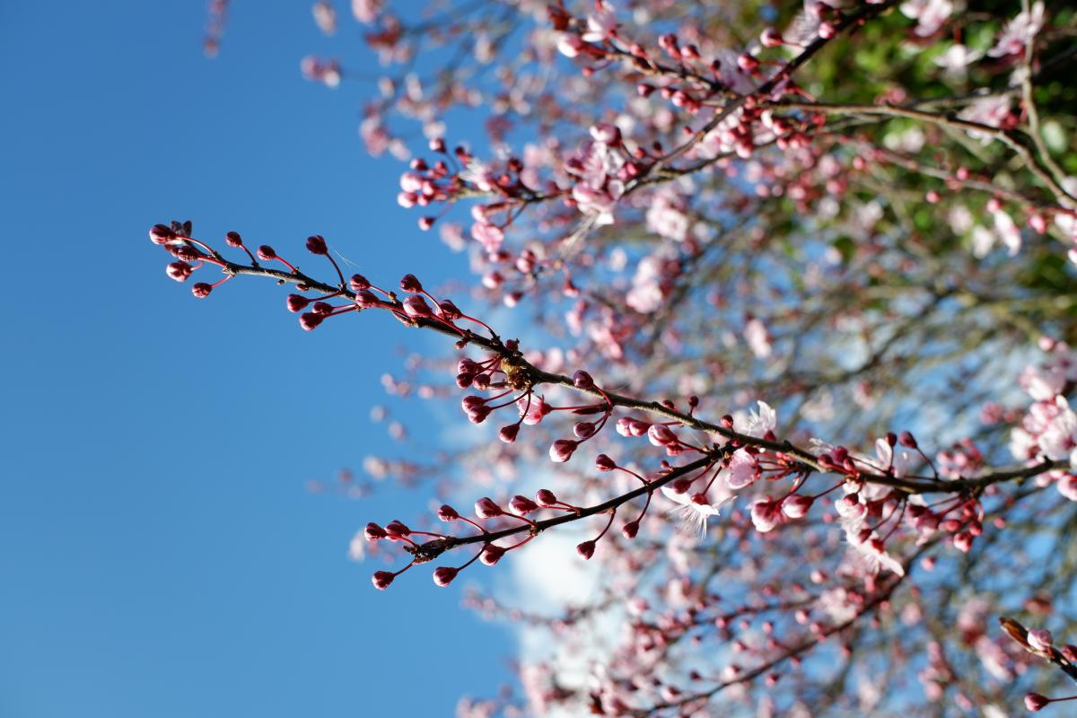 Коли буде молодик у квітні 2026 року