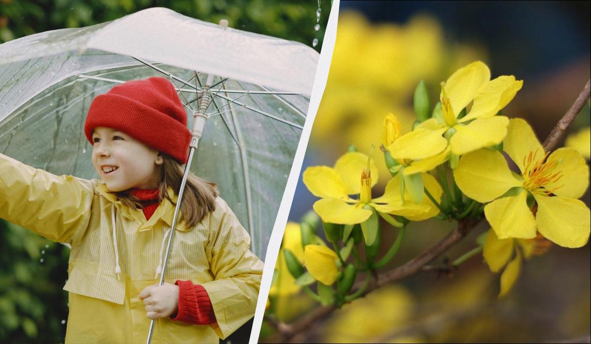 яке сьогодні свято