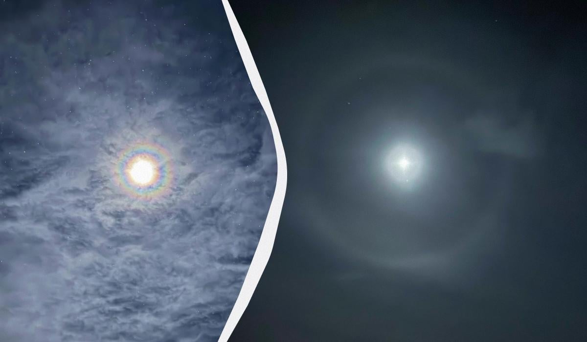 Украинские полярники сняли невероятное явление в Антарктике (фото) Украинские полярники сняли невероятное явление в Антарктике (фото)