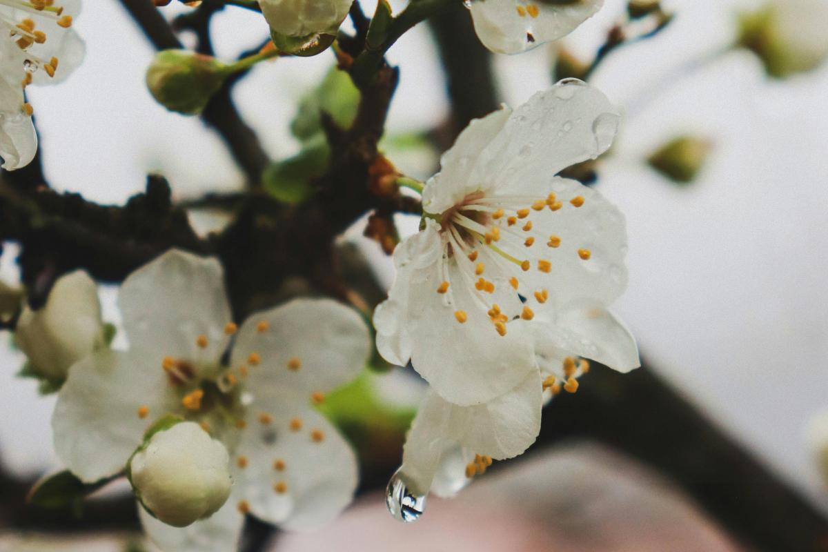 Приметы на сегодня Приметы на сегодня