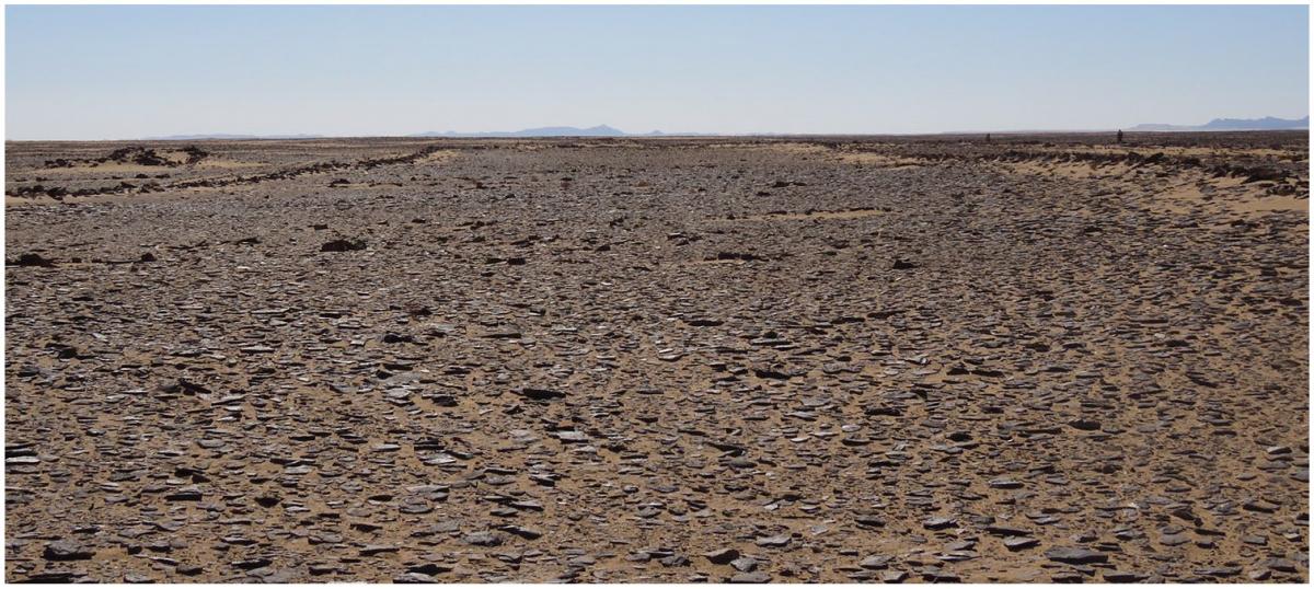 Археологи знайшли в пустелі гігантські кам'яні 'ворота' віком 7000 років (фото)