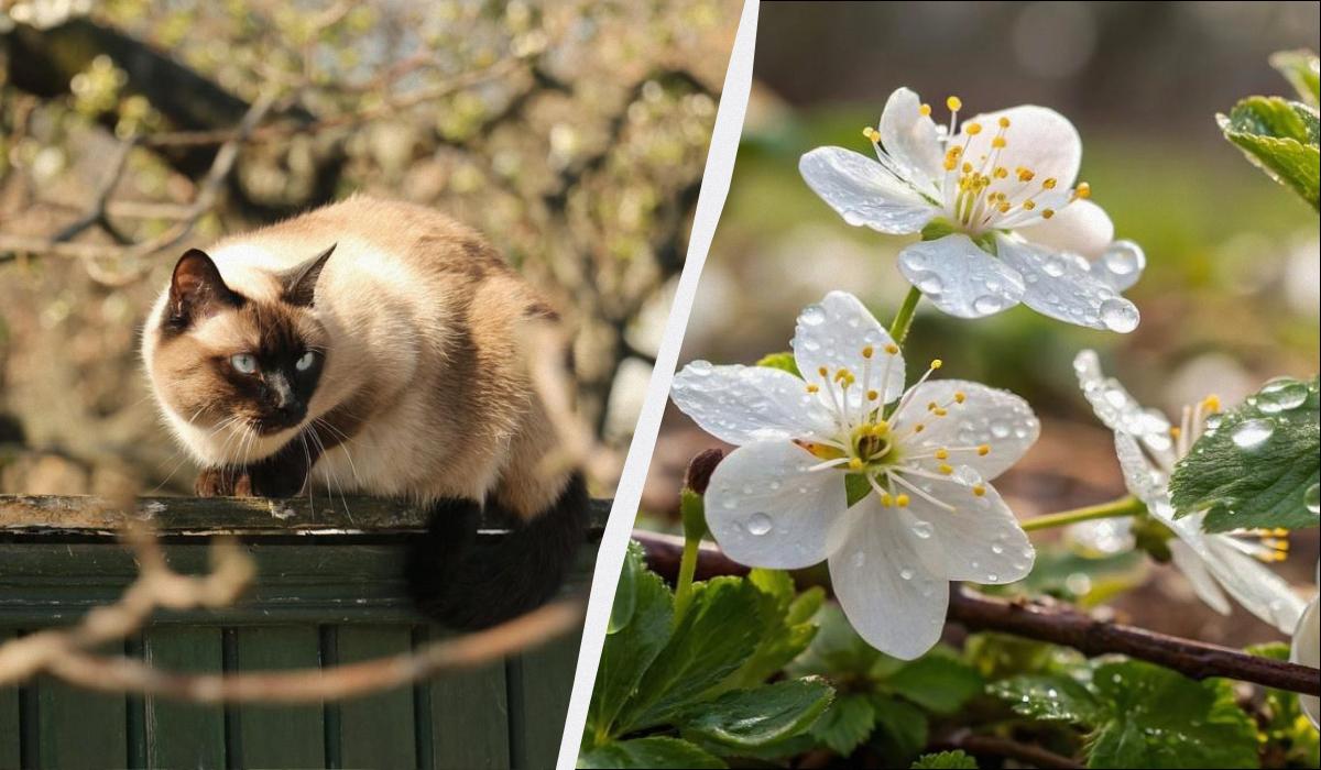 какой сегодня праздник