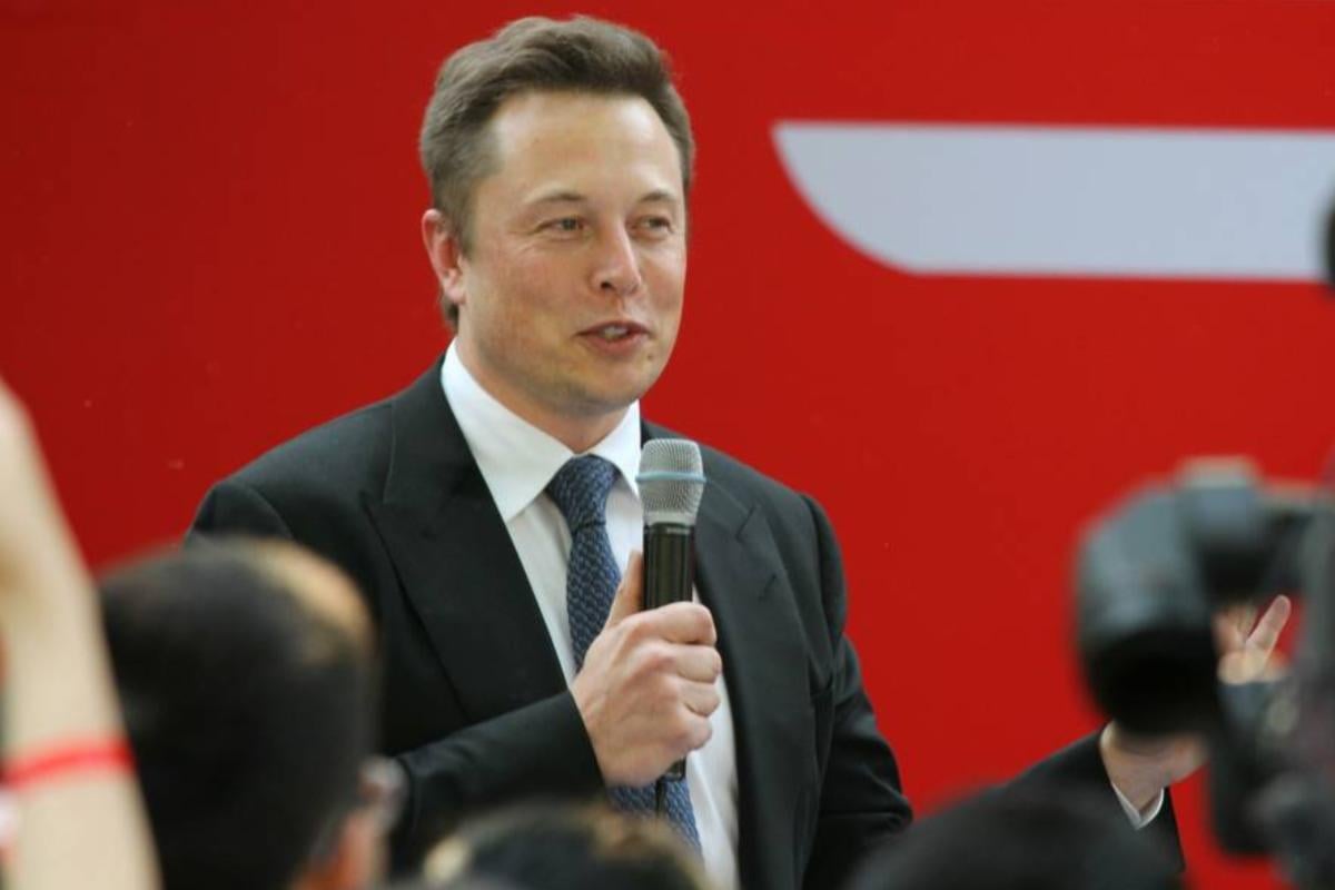 Маск не вчився в Гарварді, але зробив висновок, який не сподобається власникам дипломів