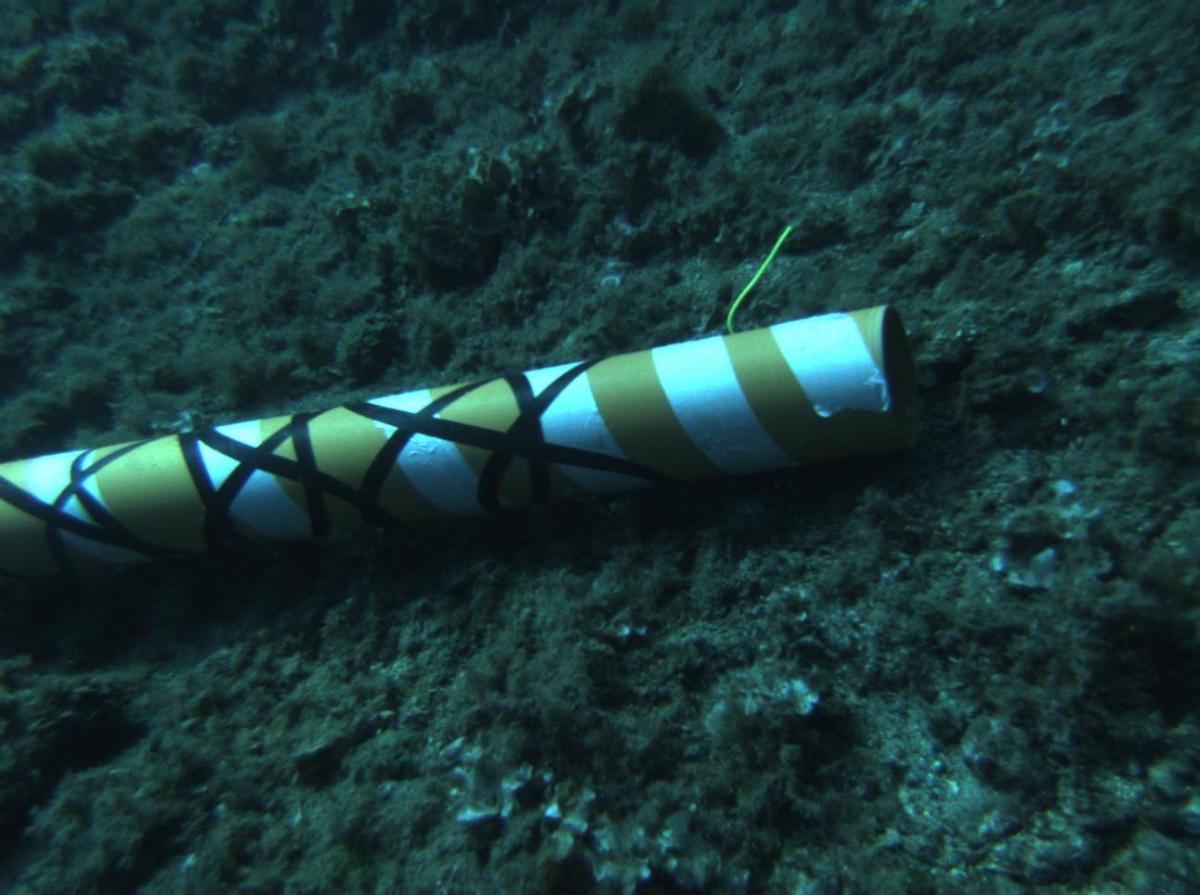 Китай создал устройство, способное перерезать кабели на глубине 3,5 км: чем это грозит Китай создал устройство, способное перерезать кабели на глубине 3,5 км: чем это грозит