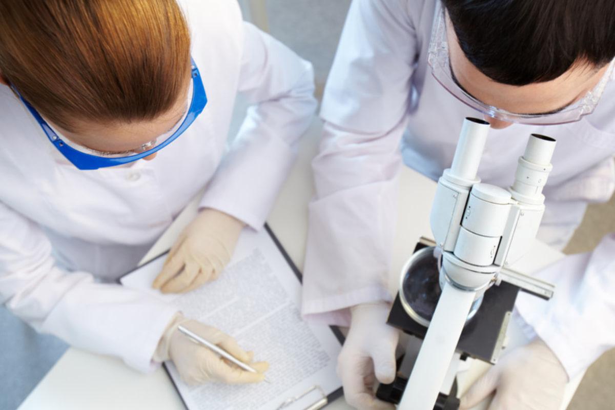 Вчені оживили 24 000-річну тварину, заморожену в Сибіру: істота вже почала розмножуватись Вчені оживили 24 000-річну тварину, заморожену в Сибіру: істота вже почала розмножуватись