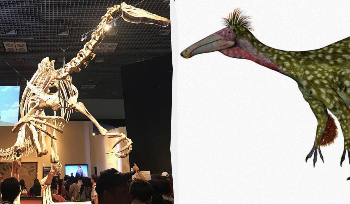 В Аргентине пастух случайно обнаружил останки гигантского динозавра